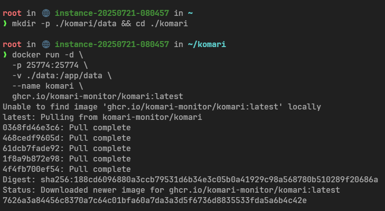 【保姆级教程】Komari探针从部署到美化