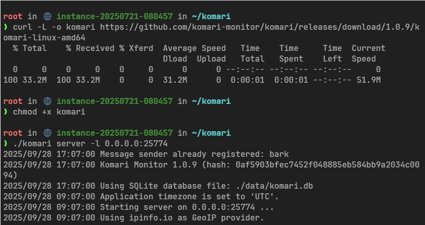 【保姆级教程】Komari探针从部署到美化
