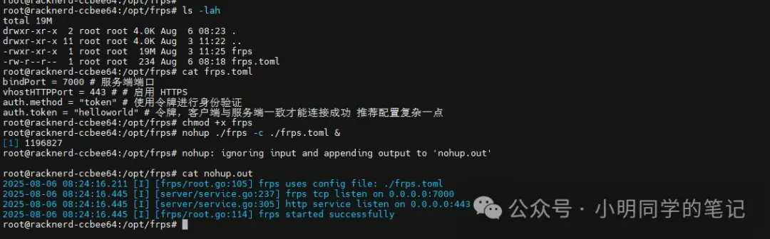 内网穿透系列(一):还在为公网IP发愁?frp教你“打洞”回家!