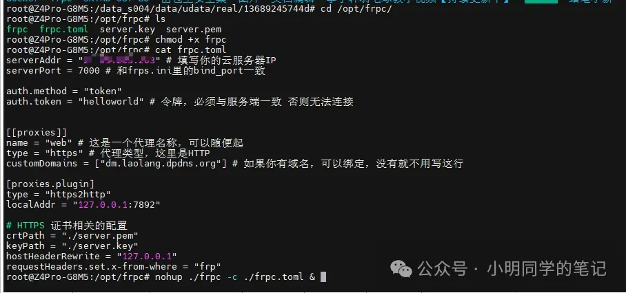 内网穿透系列(一):还在为公网IP发愁?frp教你“打洞”回家!