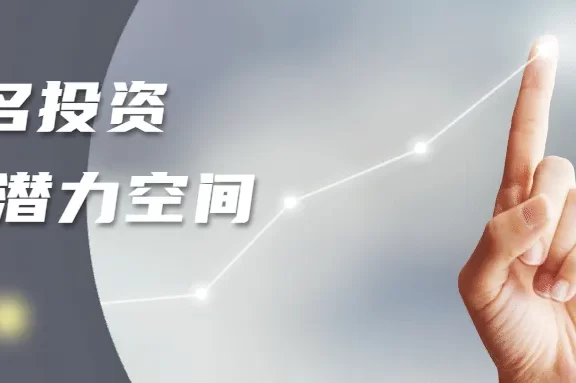 如何选择具有投资潜力的域名