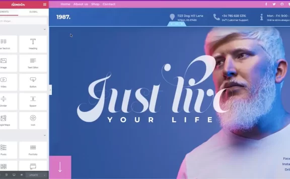 WordPress的Elementor插件10大常见问题