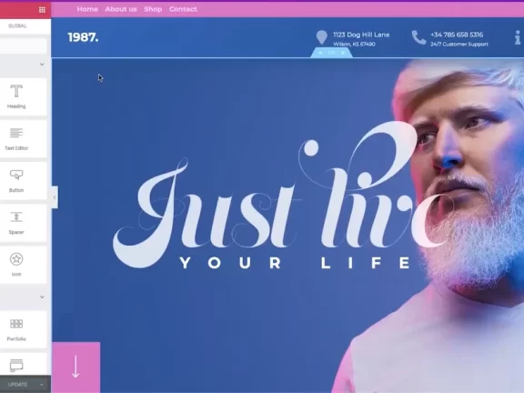 WordPress的Elementor插件10大常见问题