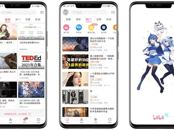 BiliBili v7.56.0/6.40/6.22.5/3.16.0 哔哩哔哩无广告版/精简纯净版/内置漫游版/谷歌版
