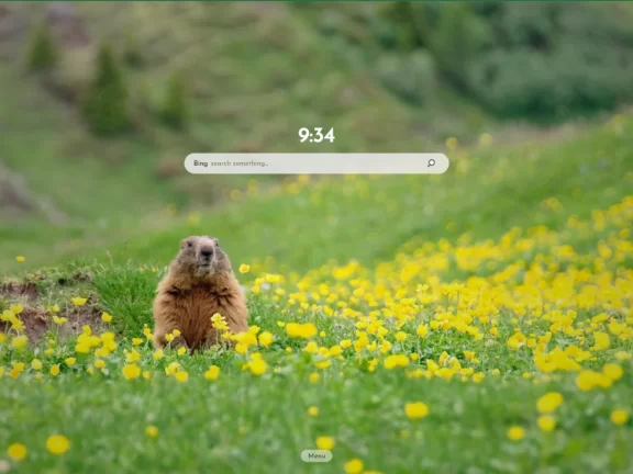 纯原生浏览器主页