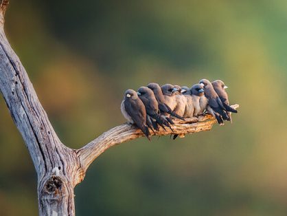 用 Cloudflare Workers 来实现必应每日壁纸 API