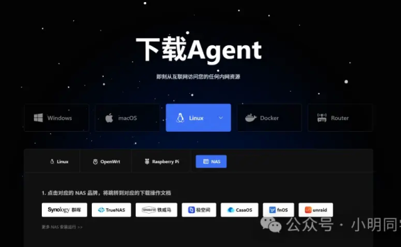 内网穿透系列(四):内网穿透搞不定?试试 zeronews 零讯!简单到离谱!