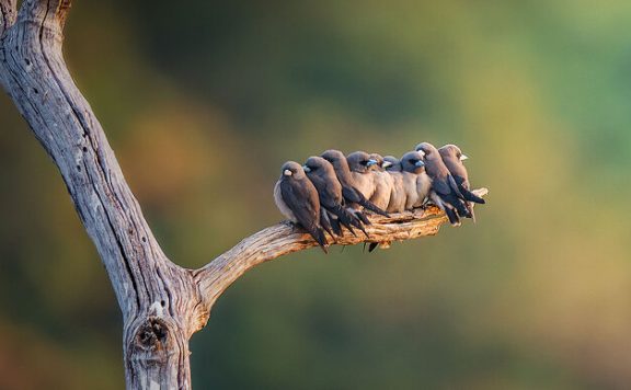 用 Cloudflare Workers 来实现必应每日壁纸 API