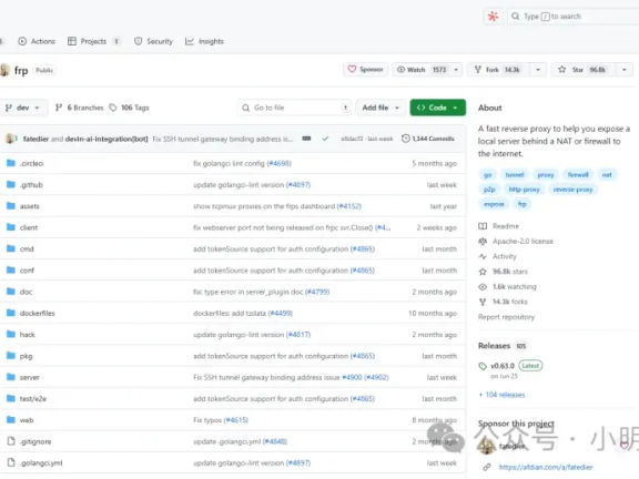 内网穿透系列（一）：还在为公网IP发愁？frp教你“打洞”回家！