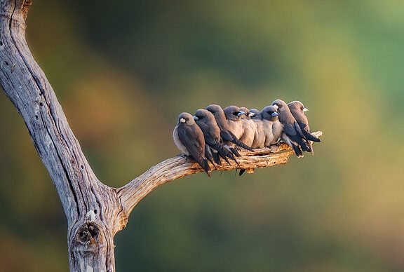 用 Cloudflare Workers 来实现必应每日壁纸 API